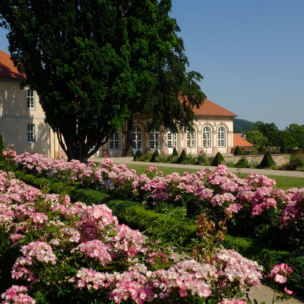 Schlossgarten